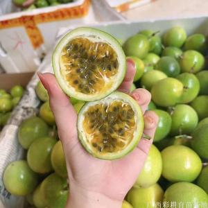 黄金百香果嫁接苗，高甜度百香果嫁接苗供应