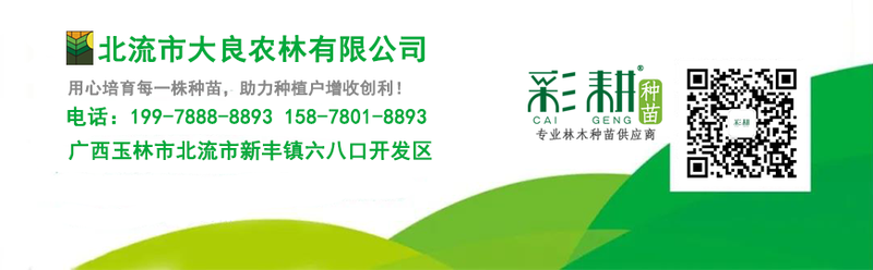 彩耕广告名片3.1.png